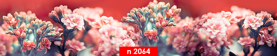 n 2064